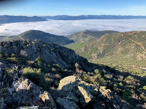 Finca cinegética de 509 ha en venta en Ciudad real