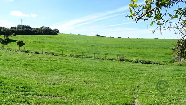 Finca rústica de 1,7 ha en venta en Arcos de la frontera, Cadiz