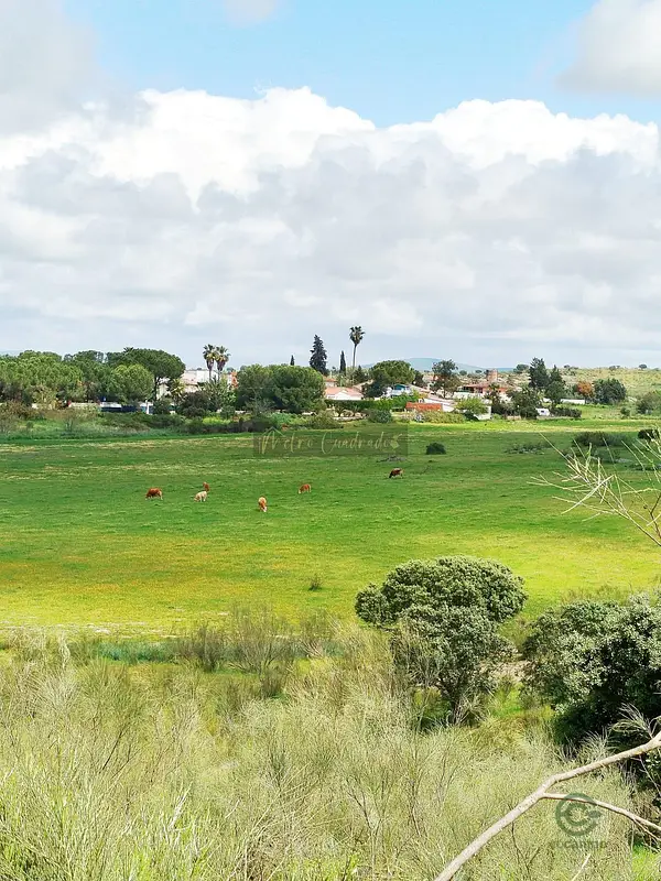 Finca rústica de 0,5 ha en venta en Mérida, Badajoz