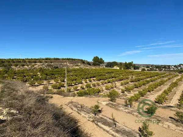 Finca agrícola de 10 ha en venta en Valencia