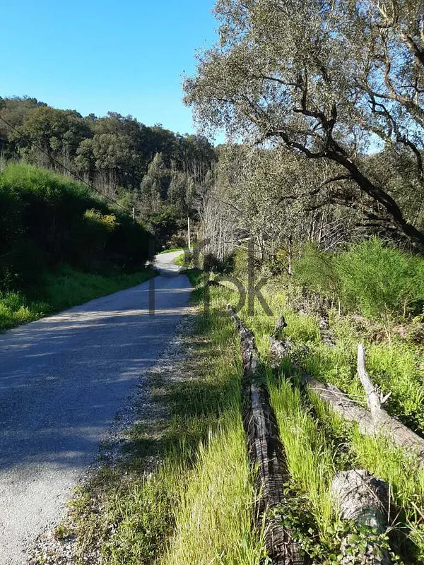Fazenda rustica de 1,95 ha para venda em Faro