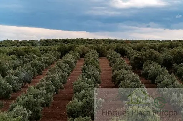 Finca rústica de 1650 ha en venta en Granada, Granada