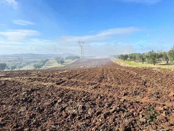 Finca rústica de 5,1 ha en venta en Mérida, Badajoz