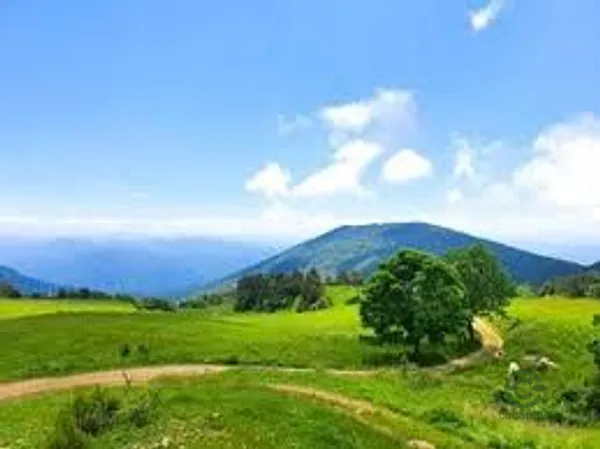 Rustic property of 575 ha for sale in Barcelona