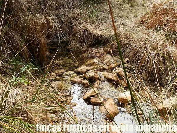 Finca rústica de 372 ha en venta en Jaén