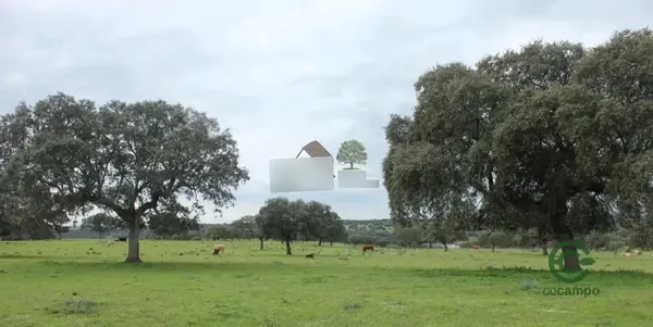 Finca ganadera de 300 ha en venta en Cáceres