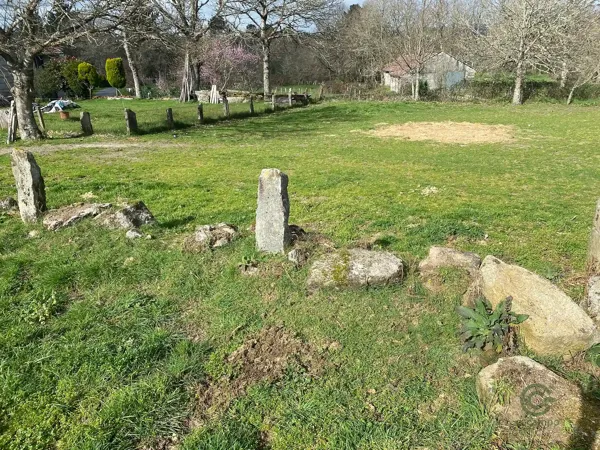 Finca rústica de 0,1 ha en venta en Orense