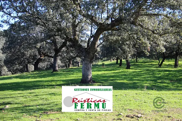 Finca ganadera de 281 ha en venta en Córdoba