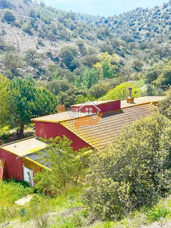 Finca rústica de 107 ha en venta en Velez-rubio, Almeria