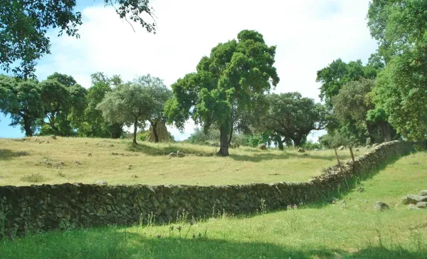Finca rústica de 200 ha en venta en Cáceres
