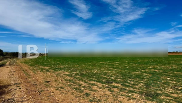 Finca rústica de 1,026 ha en venta en Manacor, Baleares