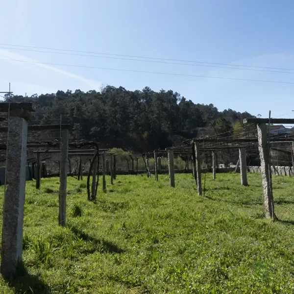 Terreno urbano de 0,0772 ha en venta en Porrino (o), Pontevedra