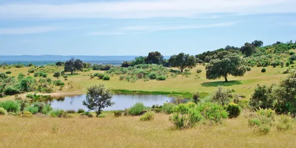 Finca rústica de 100 ha en venta en Cáceres