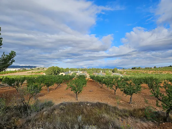 Finca agrícola de 163 ha en venta en Murcia