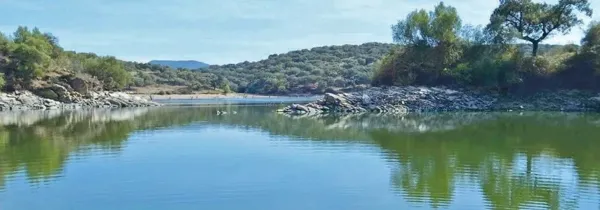 Finca rústica de 300 ha en venta en Cáceres