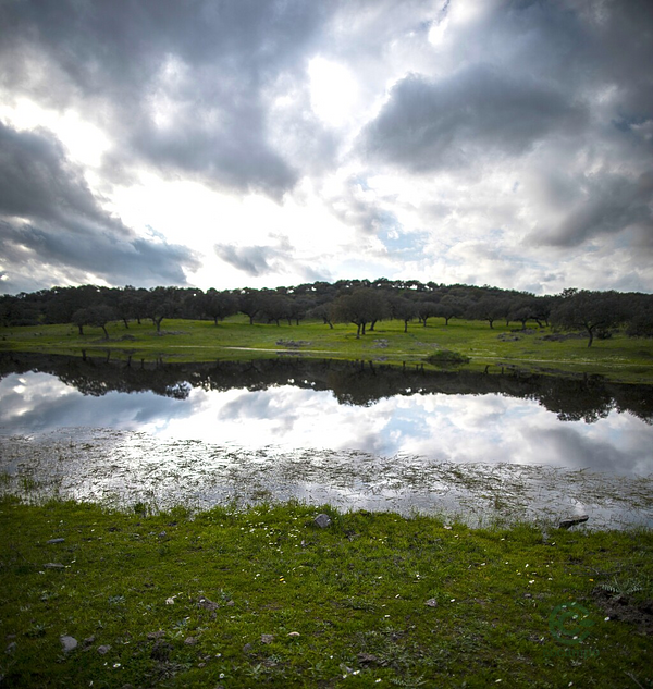 Finca rústica de 435 ha en venta en Badajoz