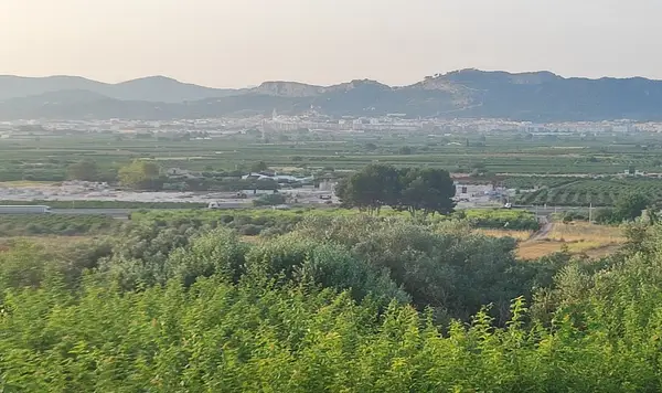 Finca rústica de 13 ha en venta en Valencia