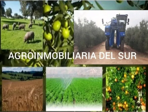 Finca rústica de 180 ha en venta en Córdoba