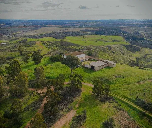 Finca rústica de 370 ha en venta en Corral de calatrava, Ciudad real