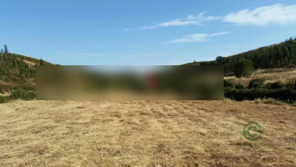 Fazenda rustica de 15 ha para venda em Faro