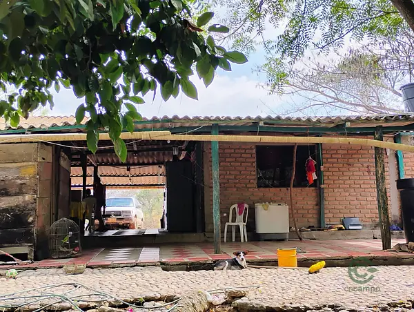 Finca rústica de 174 ha en venta en Magdalena