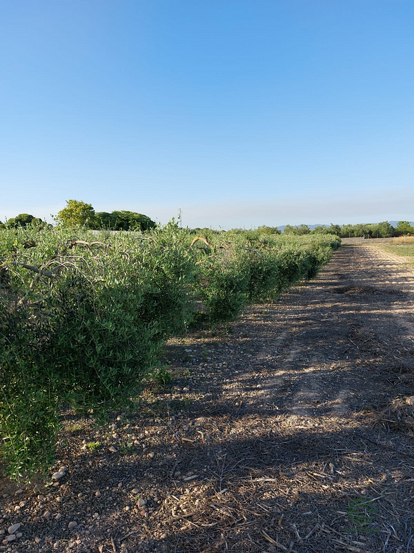 Finca agrícola de 3 ha en venta en Tarragona