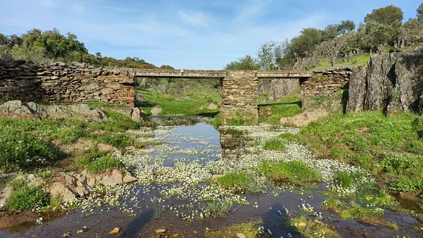 Finca rústica de 63 ha en venta en Cáceres