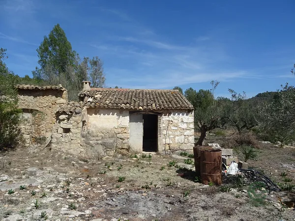 Finca agrícola de 0,1167 ha en venta en Alicante
