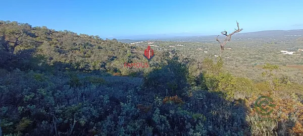 Finca agrícola de 1,6 ha en venta en Albufeira, Faro