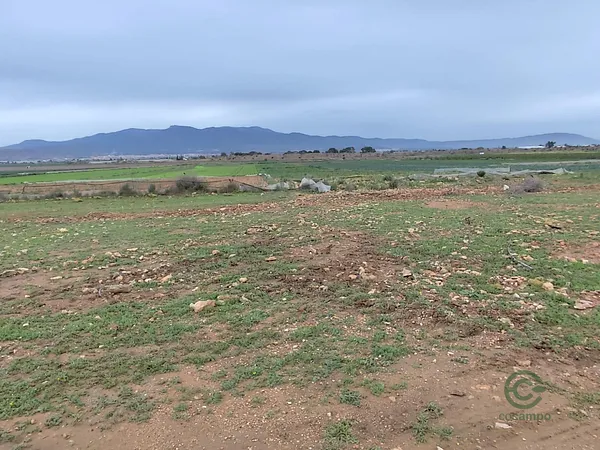 Finca agrícola de 3,6334 ha en venta en Totana, Murcia