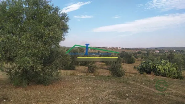 Finca agrícola de 0,4 ha en venta en Mérida, Badajoz