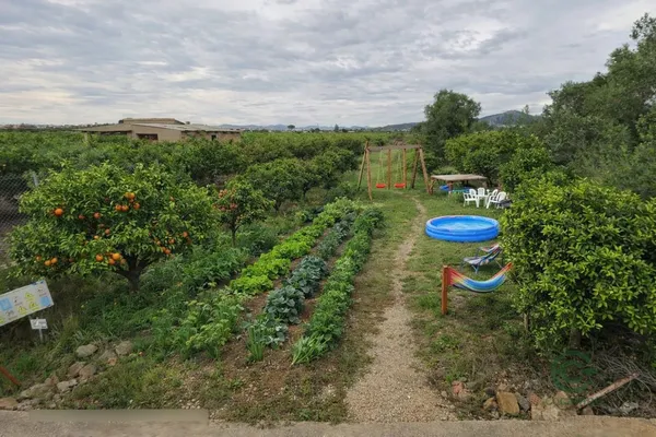 Finca rústica de 0,2183 ha en venta en Castellon de la plana, Castellon