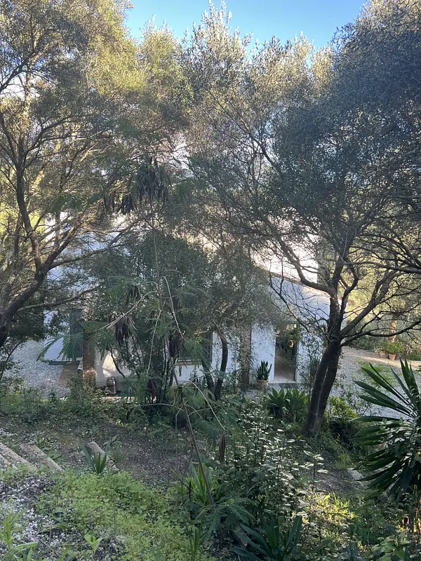 Finca rústica de 3 ha en venta en Cádiz