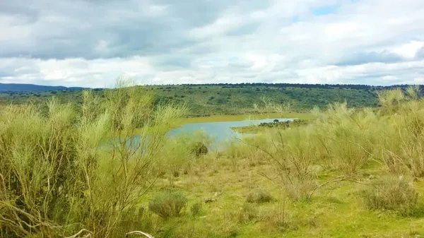 Finca rústica de 500 ha en venta en Cáceres