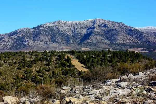 Finca cinegética de 500 ha en venta en Granada