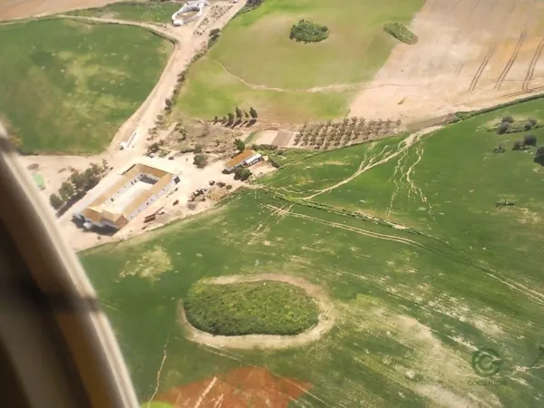 Finca rústica de 462 ha en venta en Sevilla