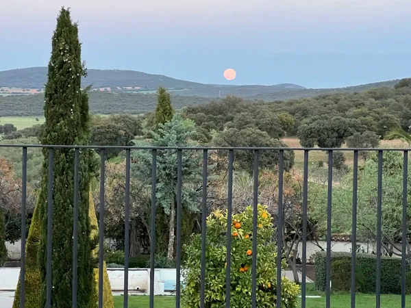 Finca rústica de 465 ha en venta en Ciudad real