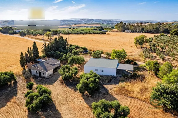 Finca rústica de 2,25 ha en venta en Arcos de la frontera, Cadiz