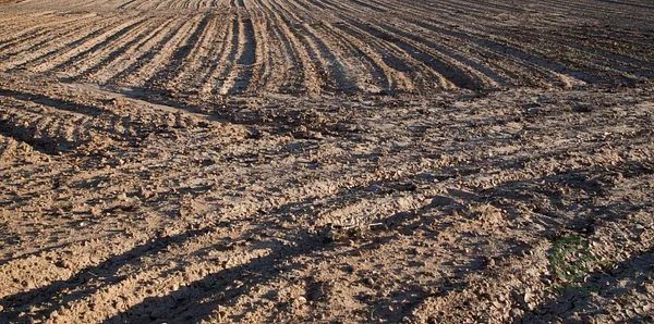 Finca agrícola de 1 ha en venta en Salamanca