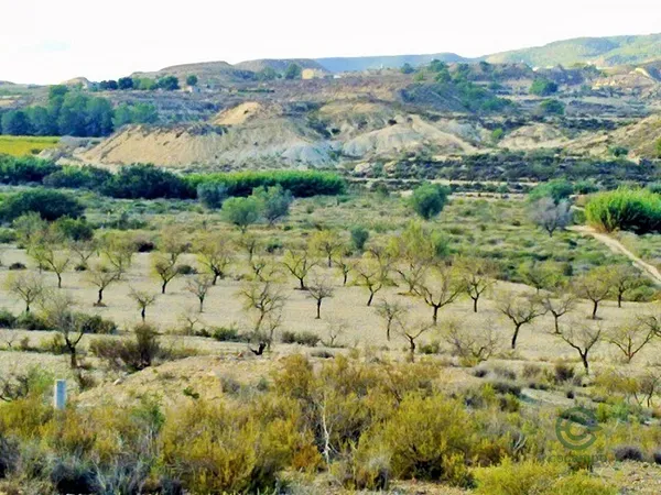 Finca rústica de 5 ha en venta en Murcia, Murcia