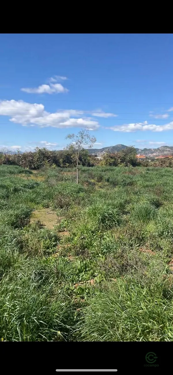 Finca rústica de 1,4532 ha en venta en Castellón