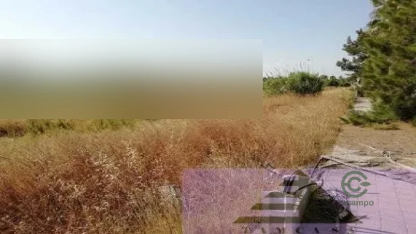 Terreno urbano de 1 ha en venta en Moncofa, Castellón