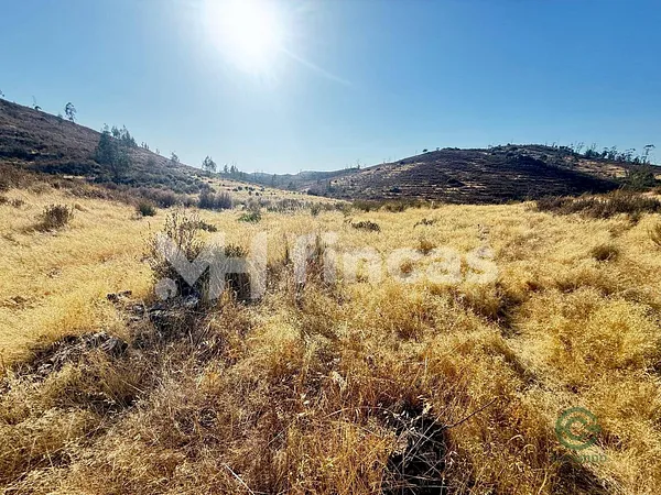 Finca rústica de 30 ha en venta en Almonaster la real, Huelva